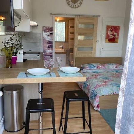 Le Cosy Tassin - Rez De Jardin Leilighet Eksteriør bilde